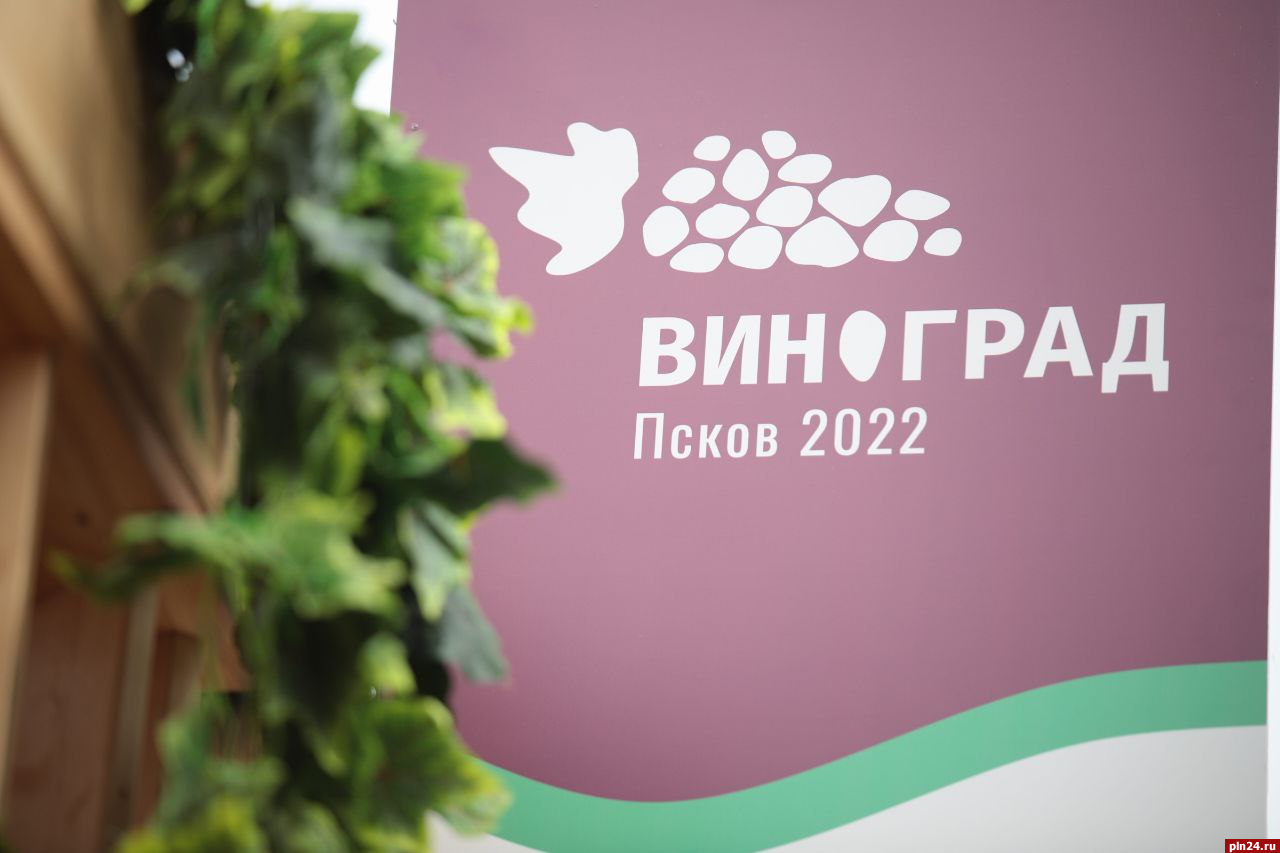 Виноград псков 2024 расписание. Винный фестиваль Псков. Ярмарка виноград Псков. Виноград Псков 2022. Фестиваль виноград Псков.