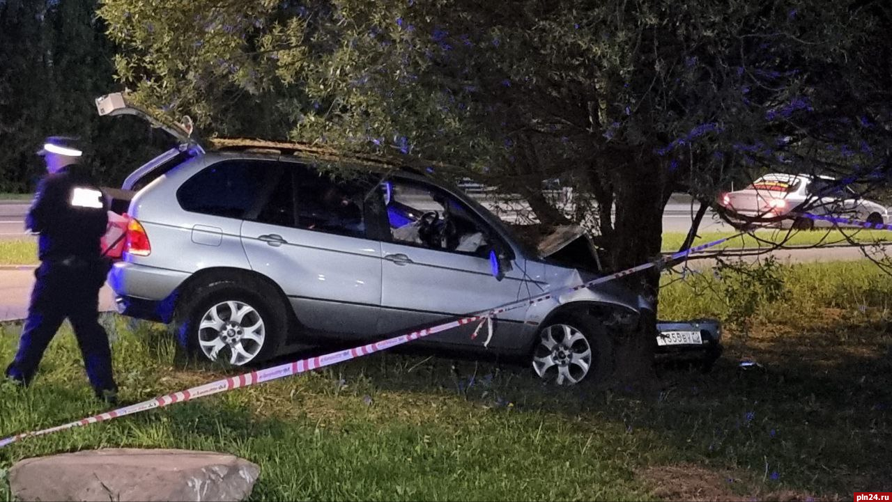 Автомобиль BMW врезался в дерево в Пскове. ФОТО : Псковская Лента Новостей  / ПЛН