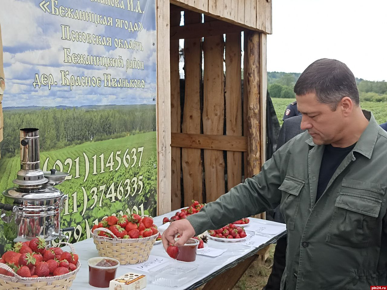 Четыре тонны клубники собрало крестьянское хозяйство «Бежаницкая ягода»,  несмотря на заморозки : Псковская Лента Новостей / ПЛН