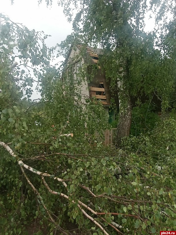 Смерч во пскове. Смерч в Пскове. Крыша деревенского дома фото. Номер на деревенском доме.