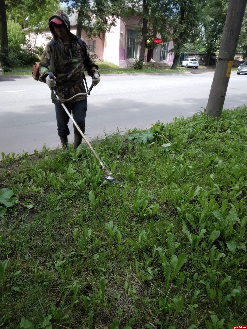 Работы по покосу травы проводят на общественных территориях в Великих Луках  : Псковская Лента Новостей / ПЛН