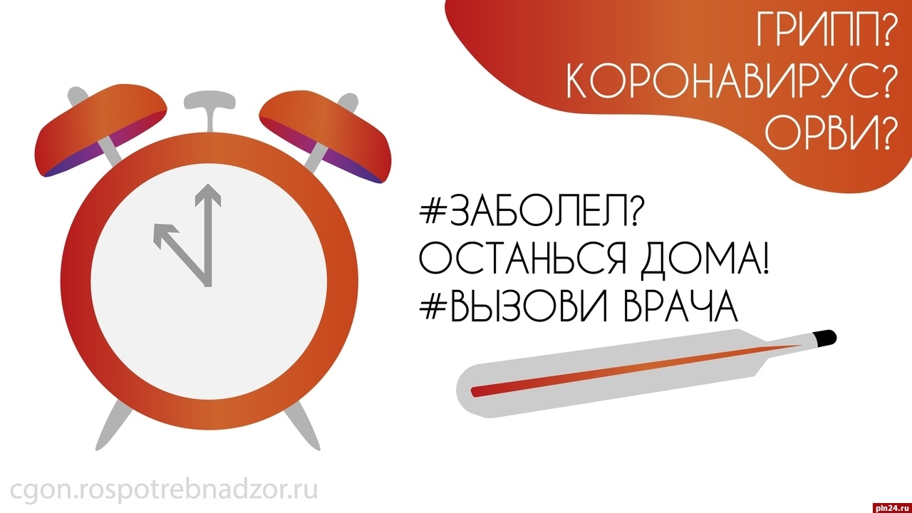 Михаил Ведерников утвердил план по предупреждению распространения  коронавируса в Псковской области : Псковская Лента Новостей / ПЛН