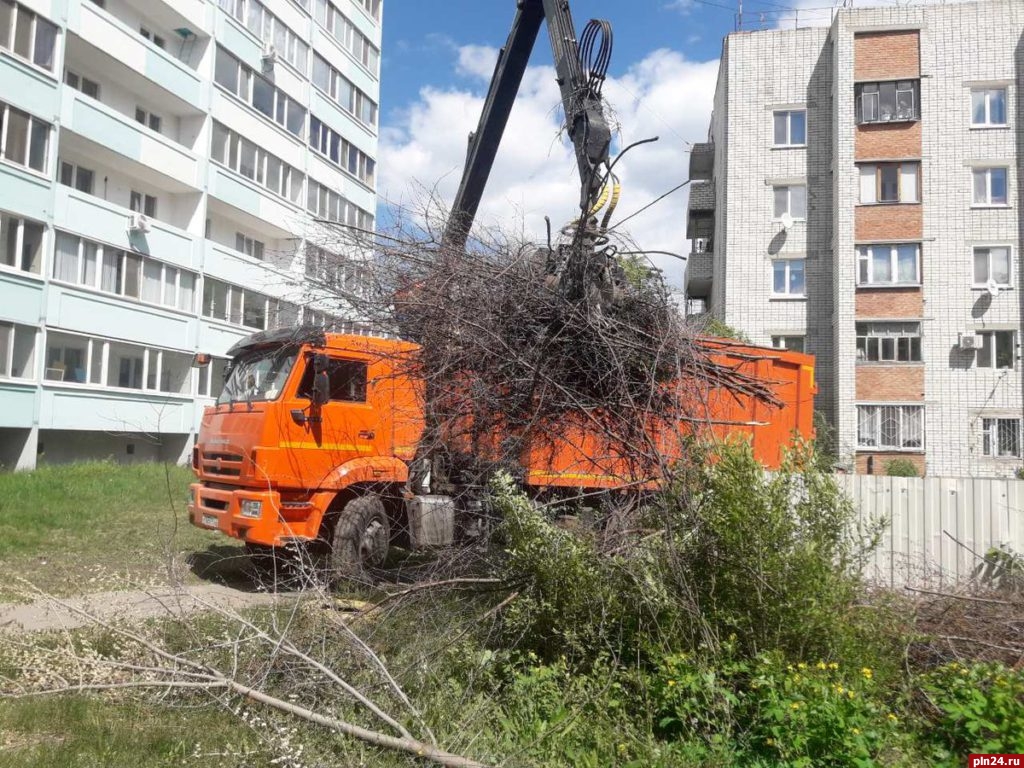 Договор на вывоз строительного и растительного мусора в Псковской области  можно заключить удаленно : Псковская Лента Новостей / ПЛН