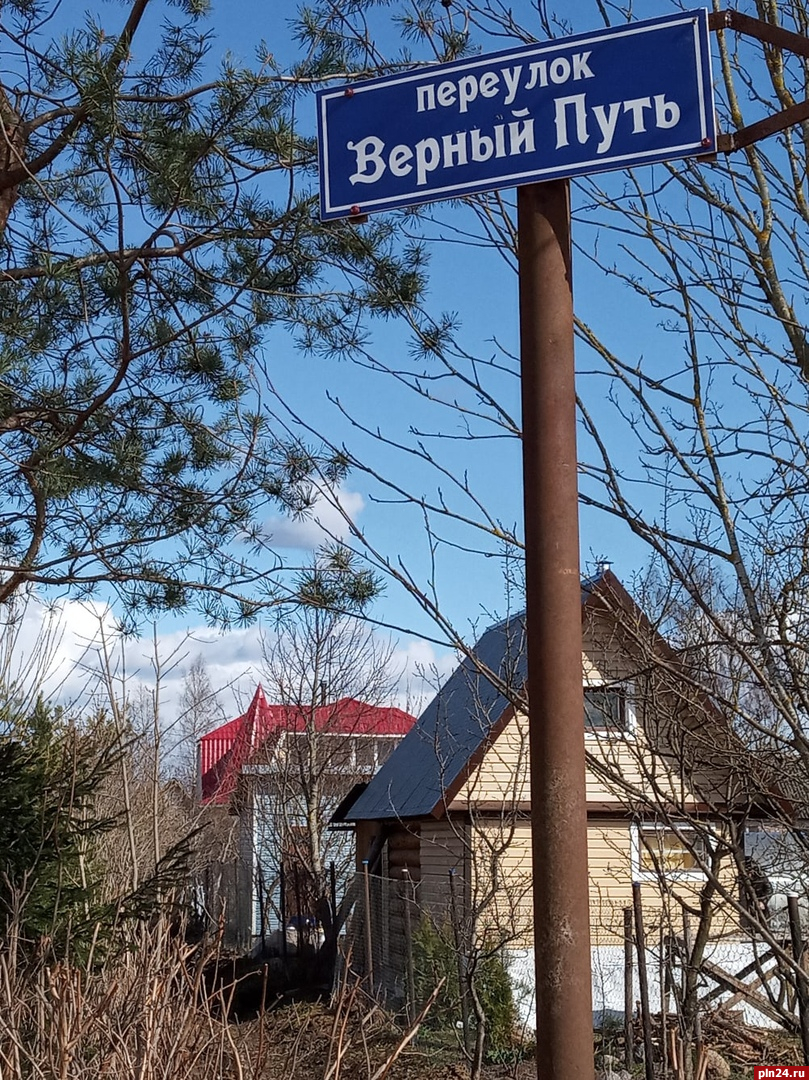 Жители региона смогут бесплатно получить садовый участок в пригороде Пскова  : Псковская Лента Новостей / ПЛН