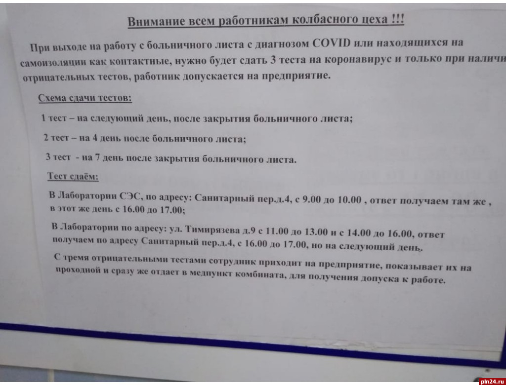 Великолучанка пожаловалась на требование работодателя сдать три теста на  COVID-19 : Псковская Лента Новостей / ПЛН