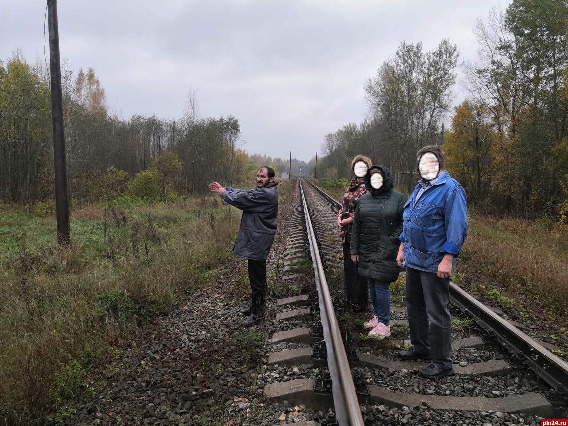 Дважды судимый иностранец незаконно пересек границу с Псковской областью :  Псковская Лента Новостей / ПЛН