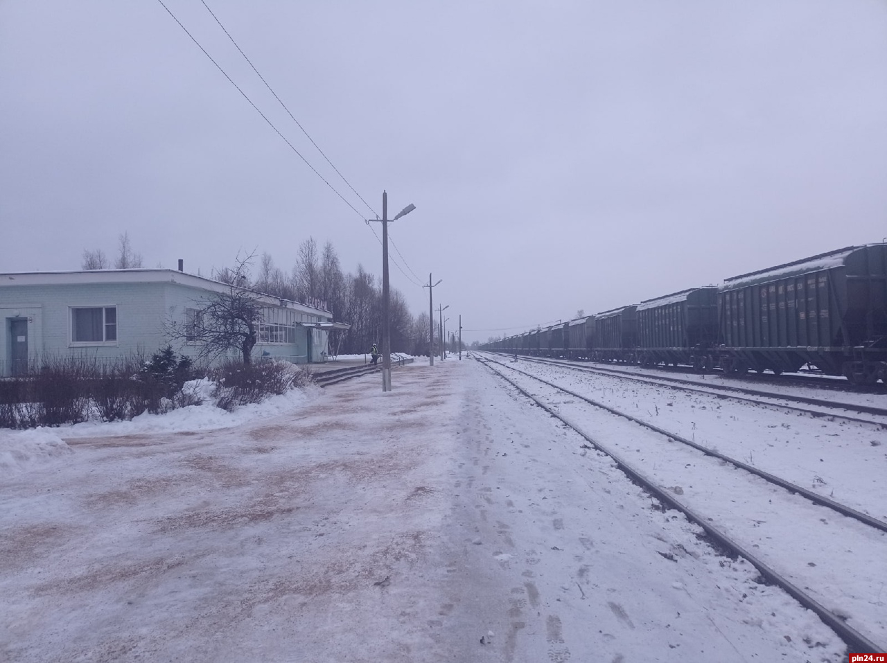 Псковская область деревня Дедовичи