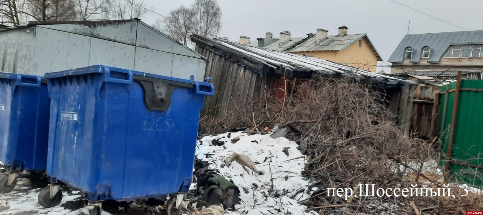 В «Экопроме» напомнили, кто должен вывозить ветки : Псковская Лента  Новостей / ПЛН