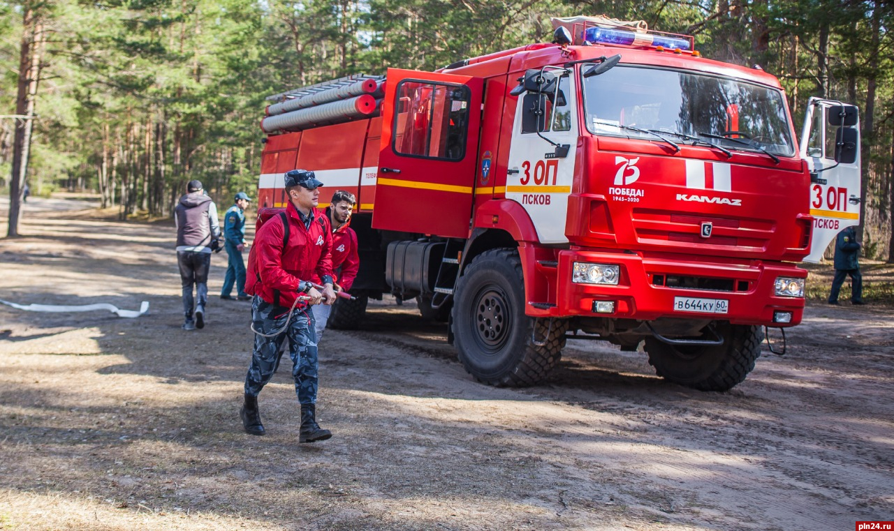 Волонтеры попробовали потушить лесной пожар в Гдовском районе : Псковская  Лента Новостей / ПЛН