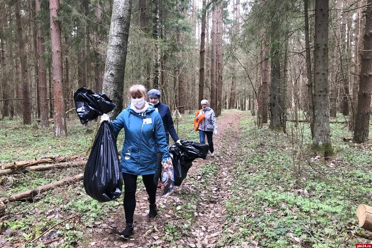 В городе Дно провели соревнования по сбору мусора : Псковская Лента  Новостей / ПЛН