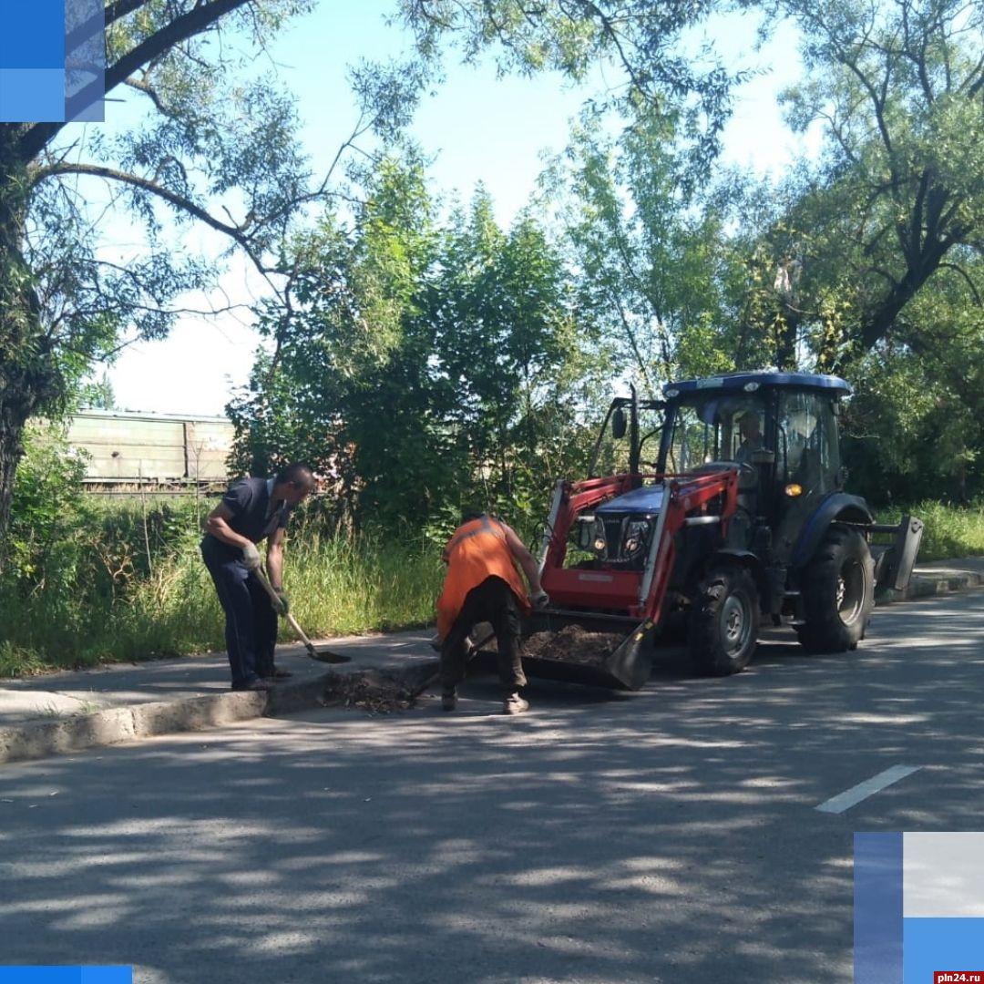 Поваленные деревья продолжают убирать с улиц Великих Лук : Псковская Лента  Новостей / ПЛН