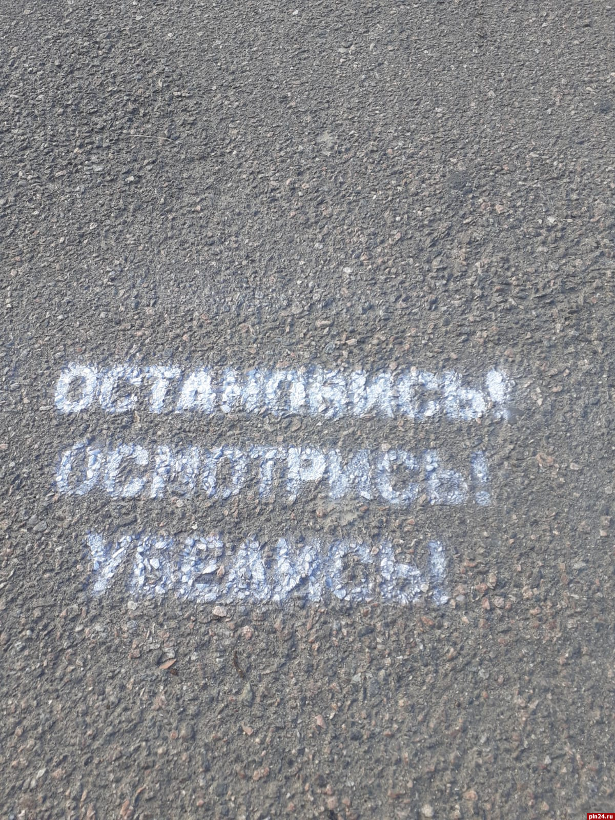 Акция «Безопасный двор» продолжается в Псковской области : Псковская Лента  Новостей / ПЛН