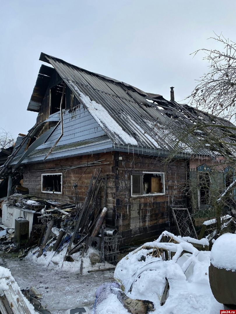 Владелица сгоревшего в Великих Луках зооприюта ищет жилье : Псковская Лента  Новостей / ПЛН