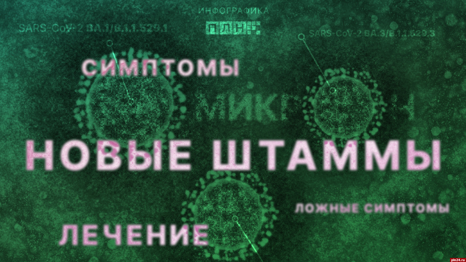 Омикрон: особенности, симптомы и лечение. ИНФОГРАФИКА : Псковская Лента  Новостей / ПЛН