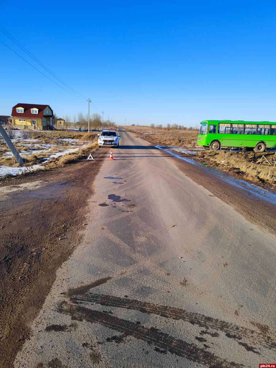 Попавшая под машину 8-летняя псковичка перебегала дорогу вне «зебры» :  Псковская Лента Новостей / ПЛН