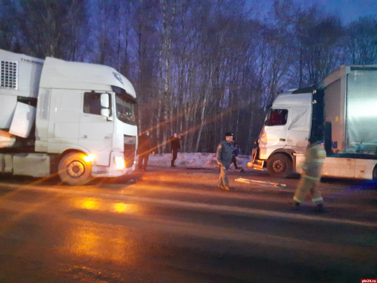 Две фуры столкнулись на трассе в Псковской области. ФОТО : Псковская Лента  Новостей / ПЛН