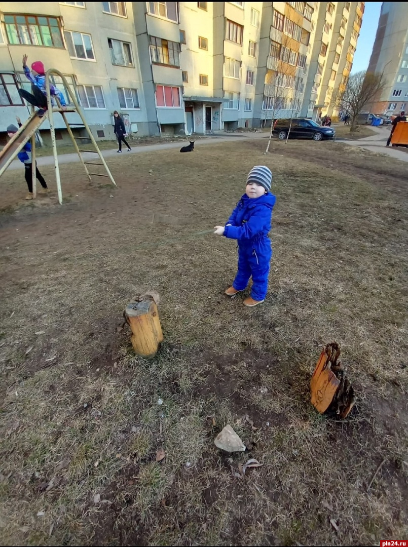 Псковичка просит власти убрать пни с гвоздями с детской площадки : Псковская  Лента Новостей / ПЛН