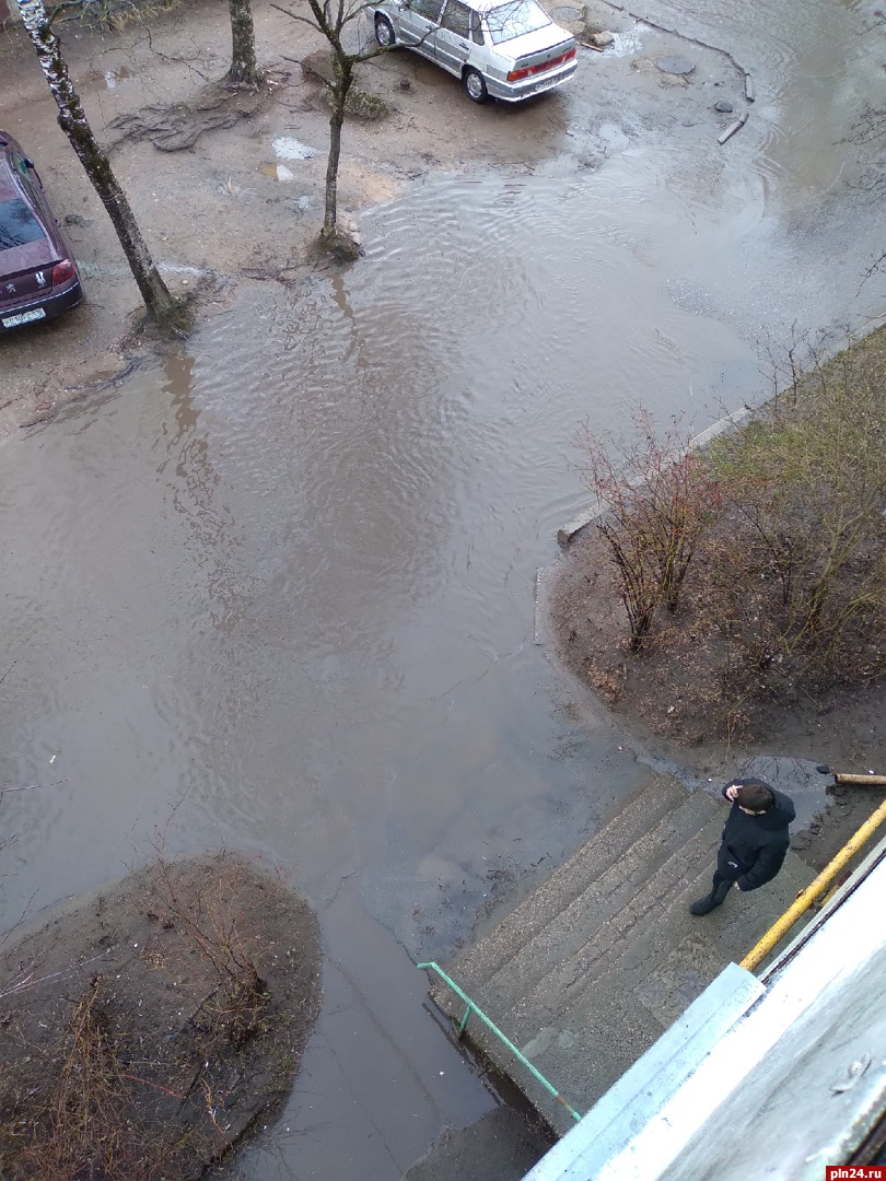 Новоселов псков. Подтопление. Уровень воды. Уровень воды в белой. Потоп Псков ПЛН.