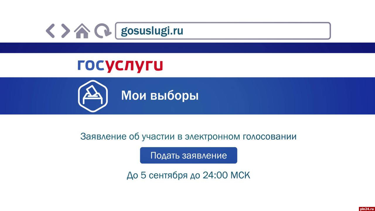 На госуслугах открылась подача заявлений для участия в дистанционном  голосовании : Псковская Лента Новостей / ПЛН