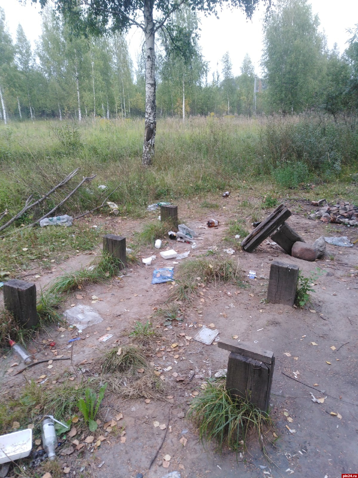 Вандалы разгромили скамейки у рыбопитомника в Великих Луках : Псковская  Лента Новостей / ПЛН