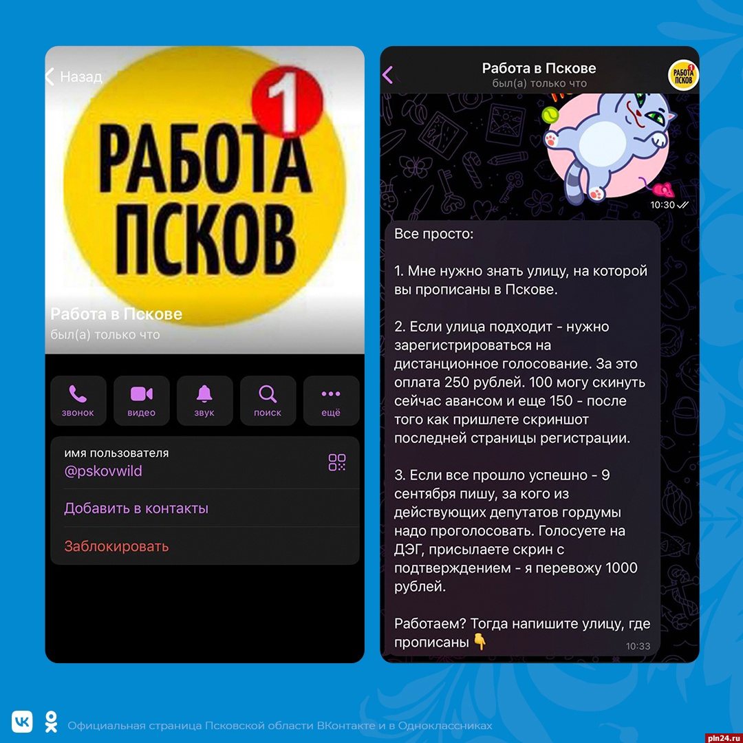 Как псковичей агитируют участвовать в выборах в соцсетях : Псковская Лента  Новостей / ПЛН