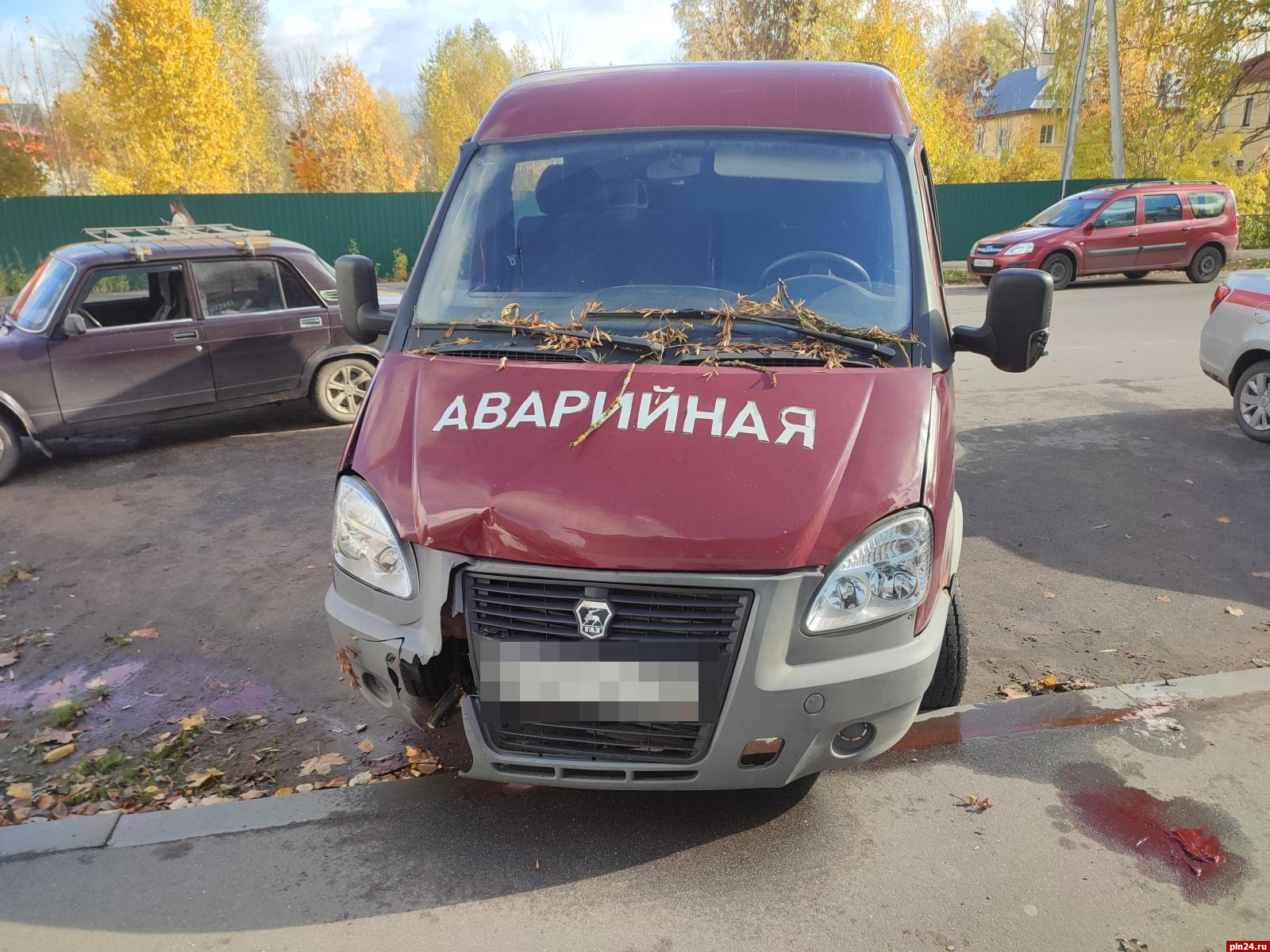 Водитель «ГАЗели» въехал в дерево в Дно и травмировался : Псковская Лента  Новостей / ПЛН