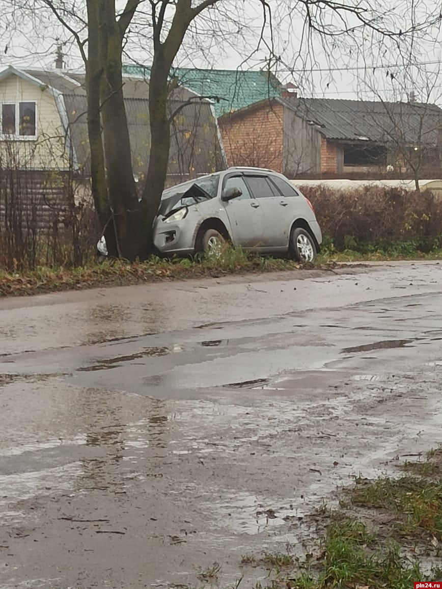 Автомобиль влетел в дерево в деревне Родина Псковского района : Псковская  Лента Новостей / ПЛН