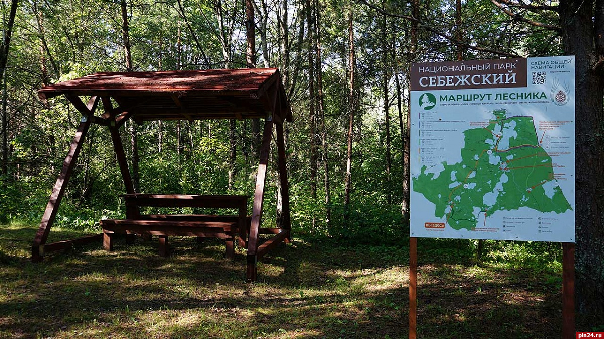 МТС первой из операторов обеспечила связью деревни вблизи Себежского  нацпарка : Псковская Лента Новостей / ПЛН