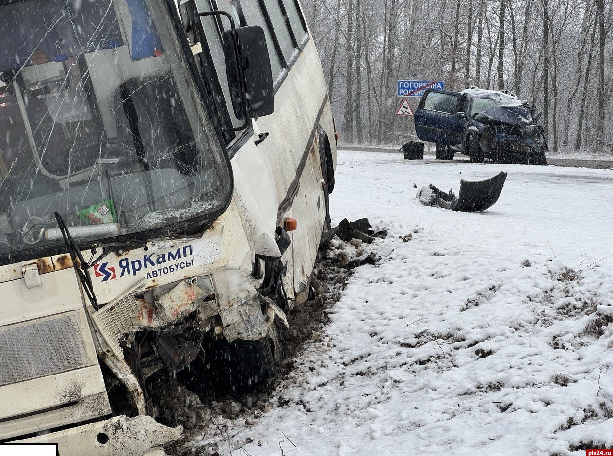 11-летняя пассажирка автобуса пострадала в ДТП в Псковском районе :  Псковская Лента Новостей / ПЛН