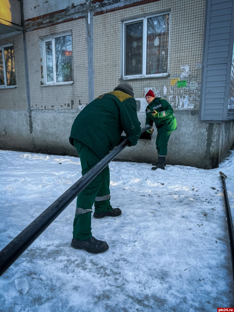 Тараканы, нечистоты и оголенные провода: трассу горячего водоснабжения дома  на улице Юбилейной перекладывают в Пскове : Псковская Лента Новостей / ПЛН