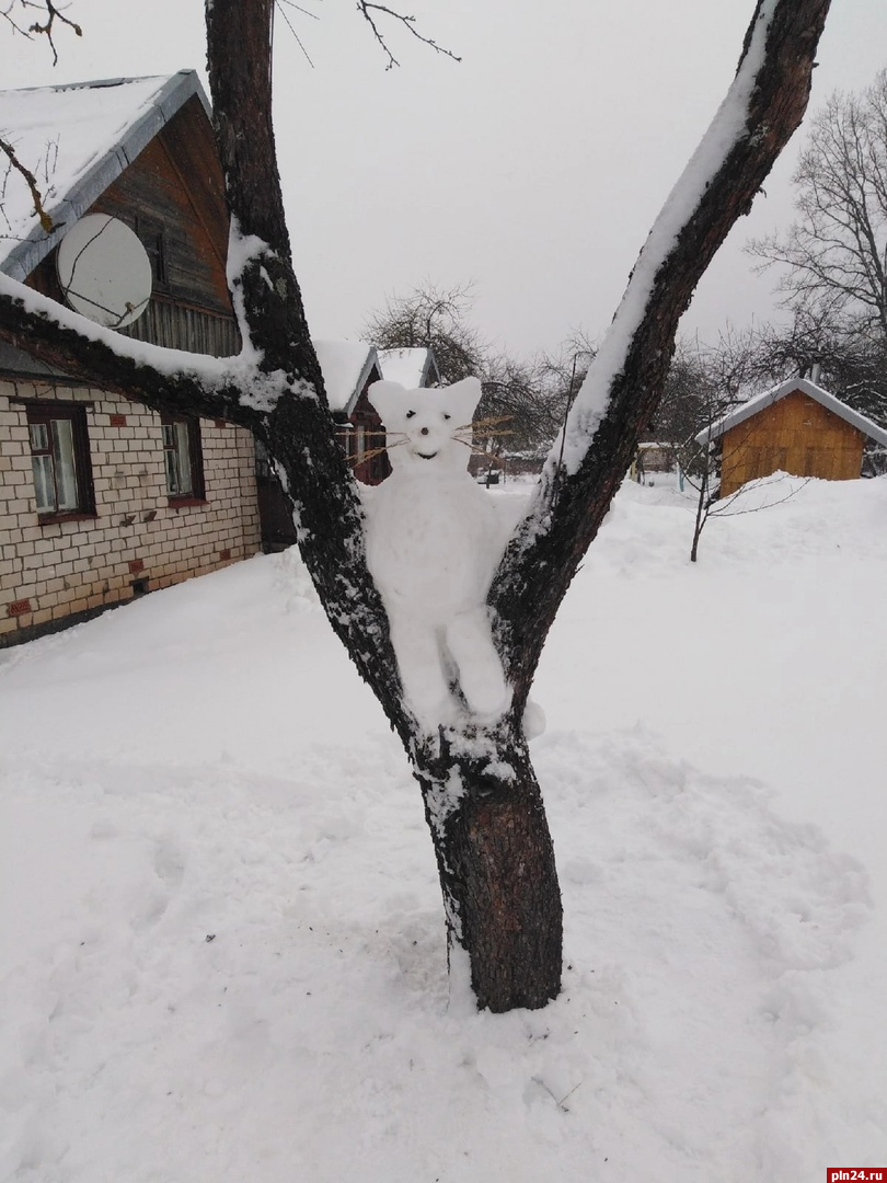 Тоже ждут весну»: котов из снега слепили в Опочке. ФОТО : Псковская Лента  Новостей / ПЛН