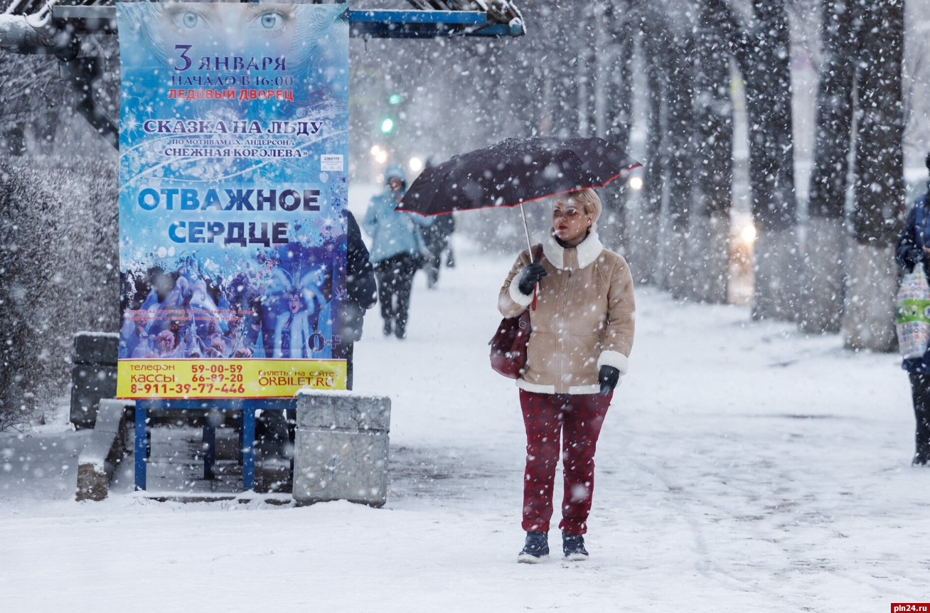 Метель прогнозируют в Псковской области ночью 9 марта : Псковская Лента  Новостей / ПЛН