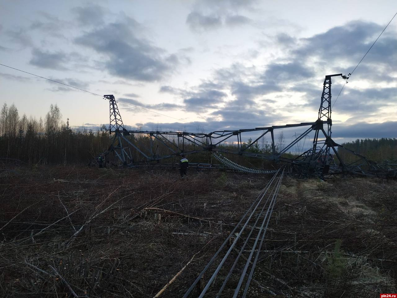 В Ленинградской области подорвали опору ЛЭП : Псковская Лента Новостей / ПЛН