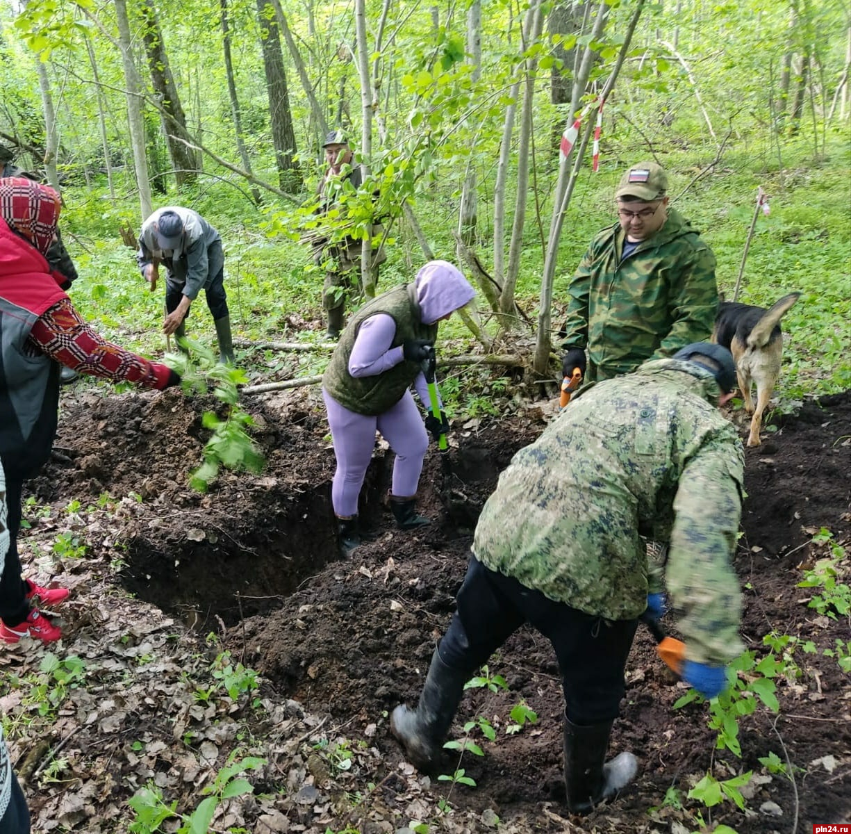 Место массового захоронения обнаружили в дновской деревне Колотушино :  Псковская Лента Новостей / ПЛН