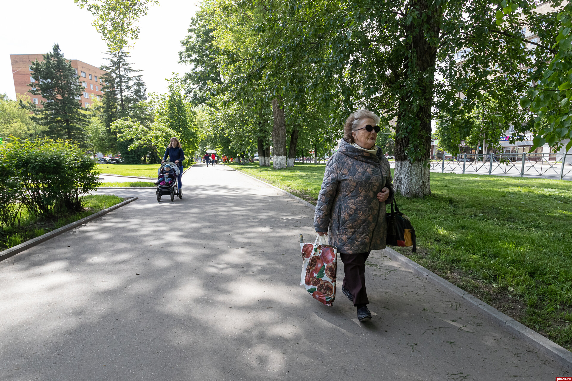 Пенсия неработающим пенсионерам в 2025 году. Летний сад Псков.