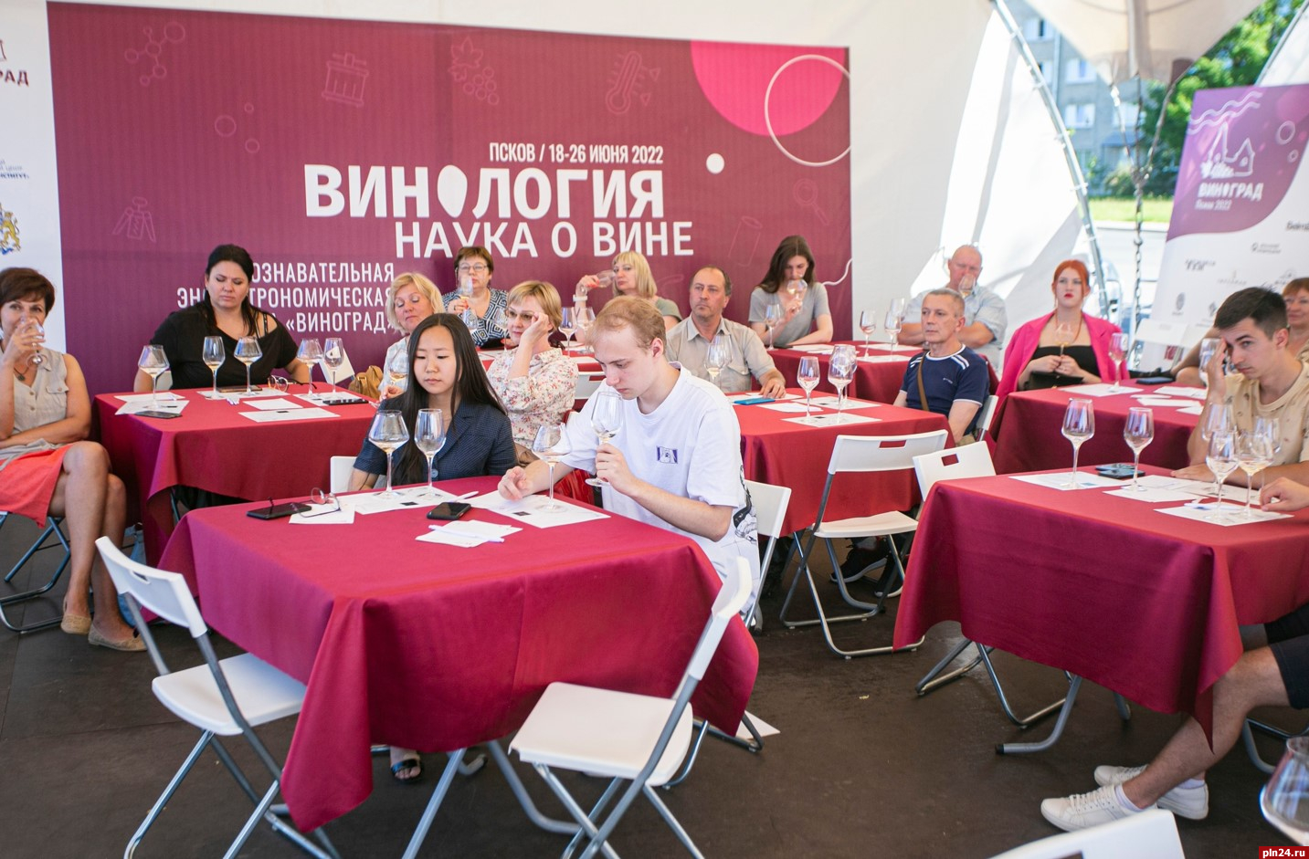 Фестиваль виноград великий новгород. Фото мероприятия. Фестиваль виноград Псков. Событийные мероприятия. Фестиваль виноград Псков 2023.