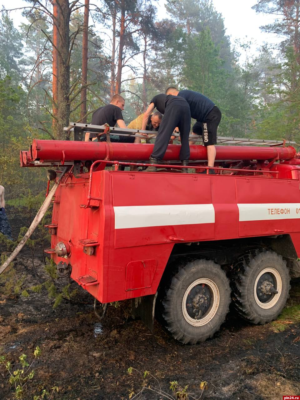 Курсанты помогли потушить торфяной пожар вблизи псковской деревни. ФОТО :  Псковская Лента Новостей / ПЛН