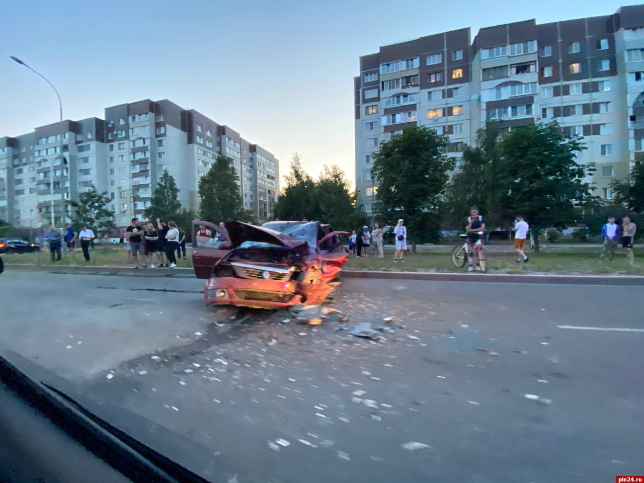 Собака погибла в серьезном ДТП на Рижском проспекте в Пскове : Псковская  Лента Новостей / ПЛН