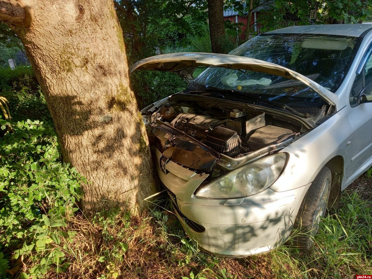 Автомобиль Peugeot въехал в «буханку» и врезался в дерево в Красногородске.  ФОТО : Псковская Лента Новостей / ПЛН