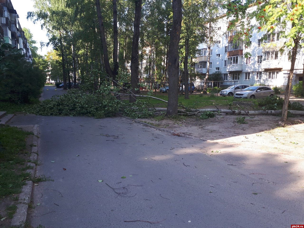 Жители Псковской области сообщают о последствиях шторма. ФОТО, ВИДЕО :  Псковская Лента Новостей / ПЛН