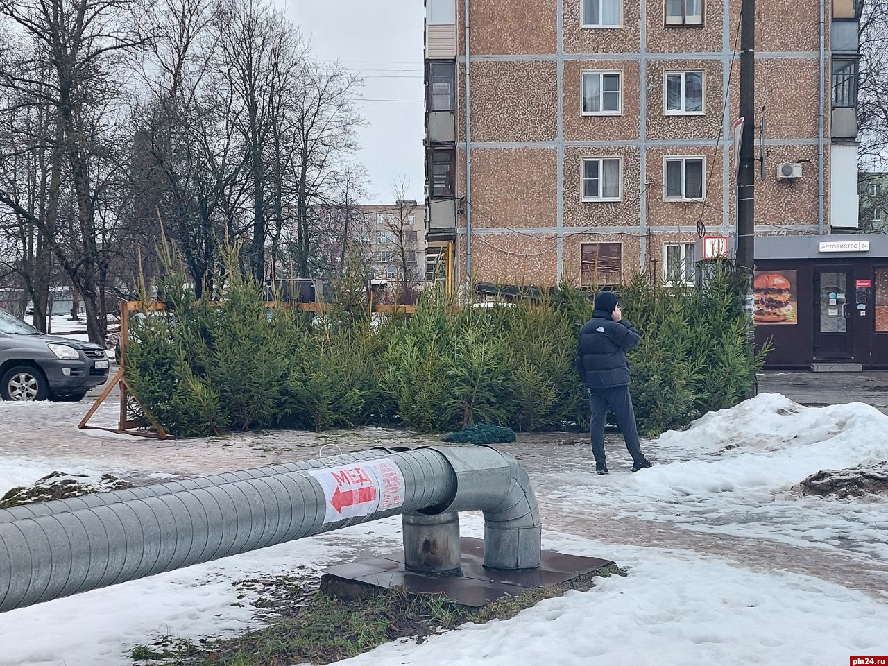 Определены места для елочных базаров в Пскове : Псковская Лента Новостей /  ПЛН