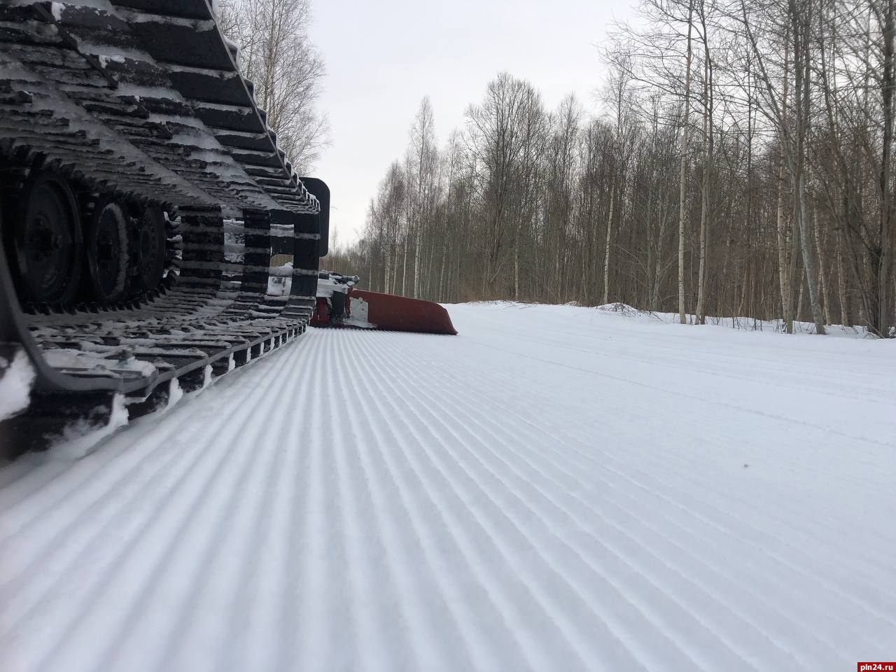 Ветераны лыжного спорта Псковской области