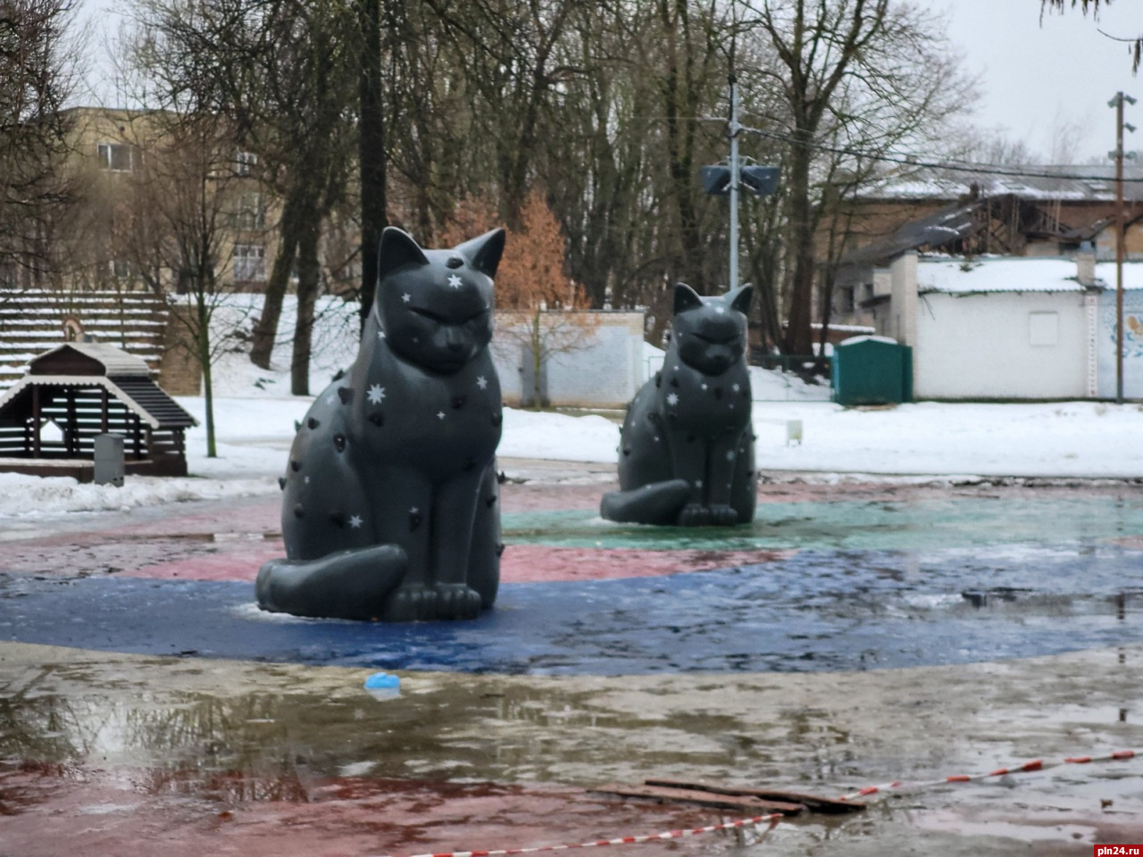 Котодромы: дети оценили звездных котов в центре Пскова : Псковская Лента  Новостей / ПЛН