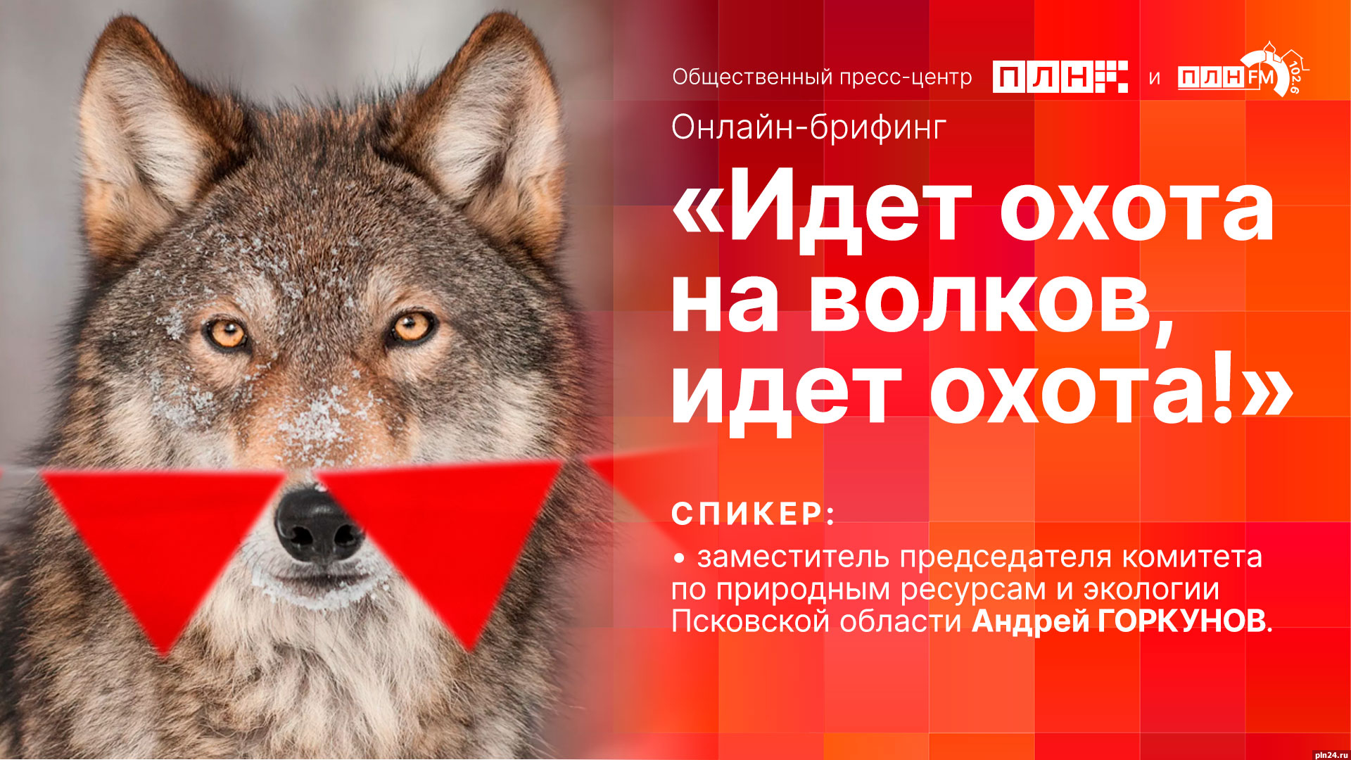 Охота в Псковской области станет темой брифинга в пресс-центре ПЛН :  Псковская Лента Новостей / ПЛН