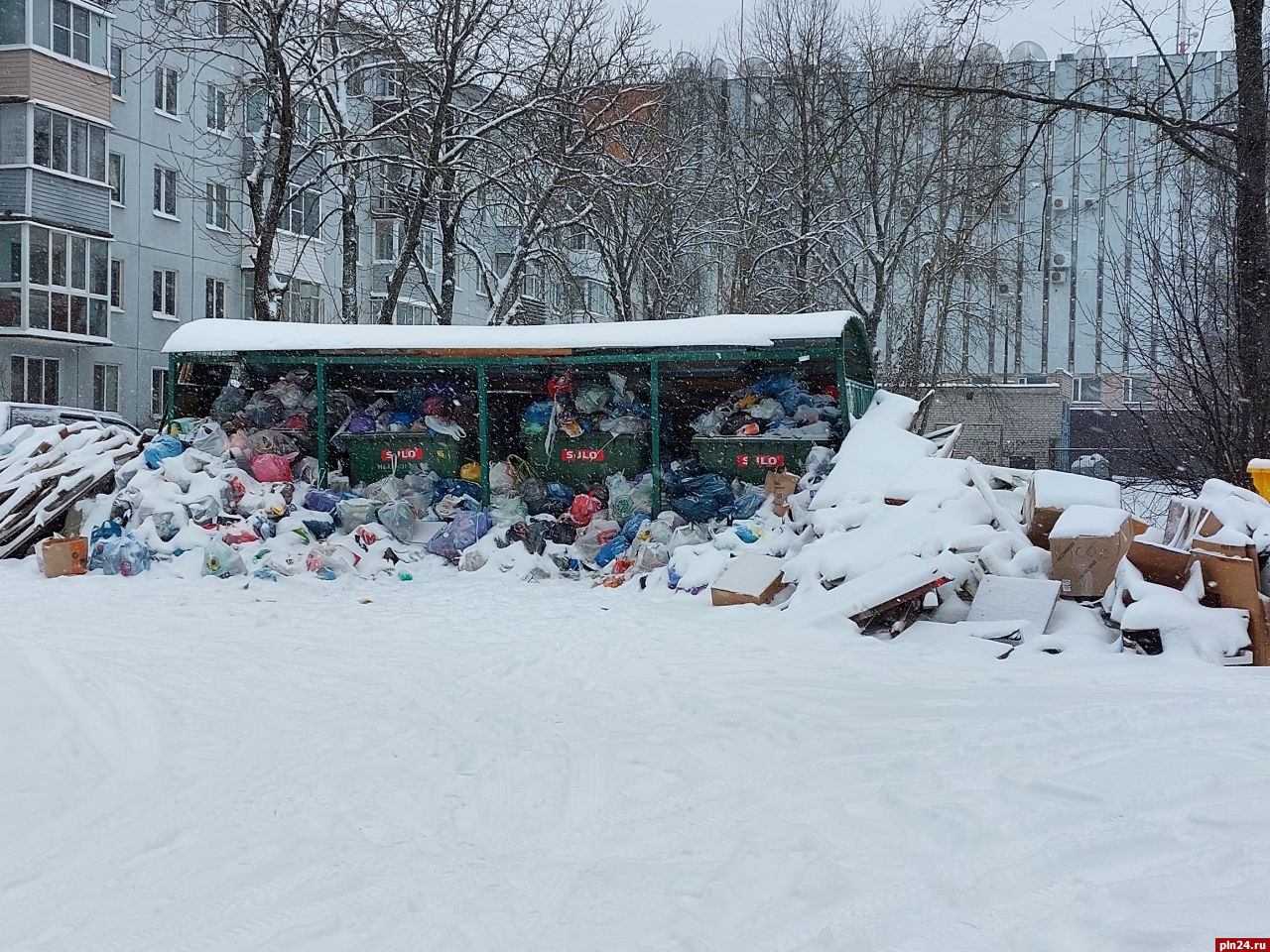 Псковский «Экопром» оштрафовали за невывоз мусора в новогодние праздники :  Псковская Лента Новостей / ПЛН