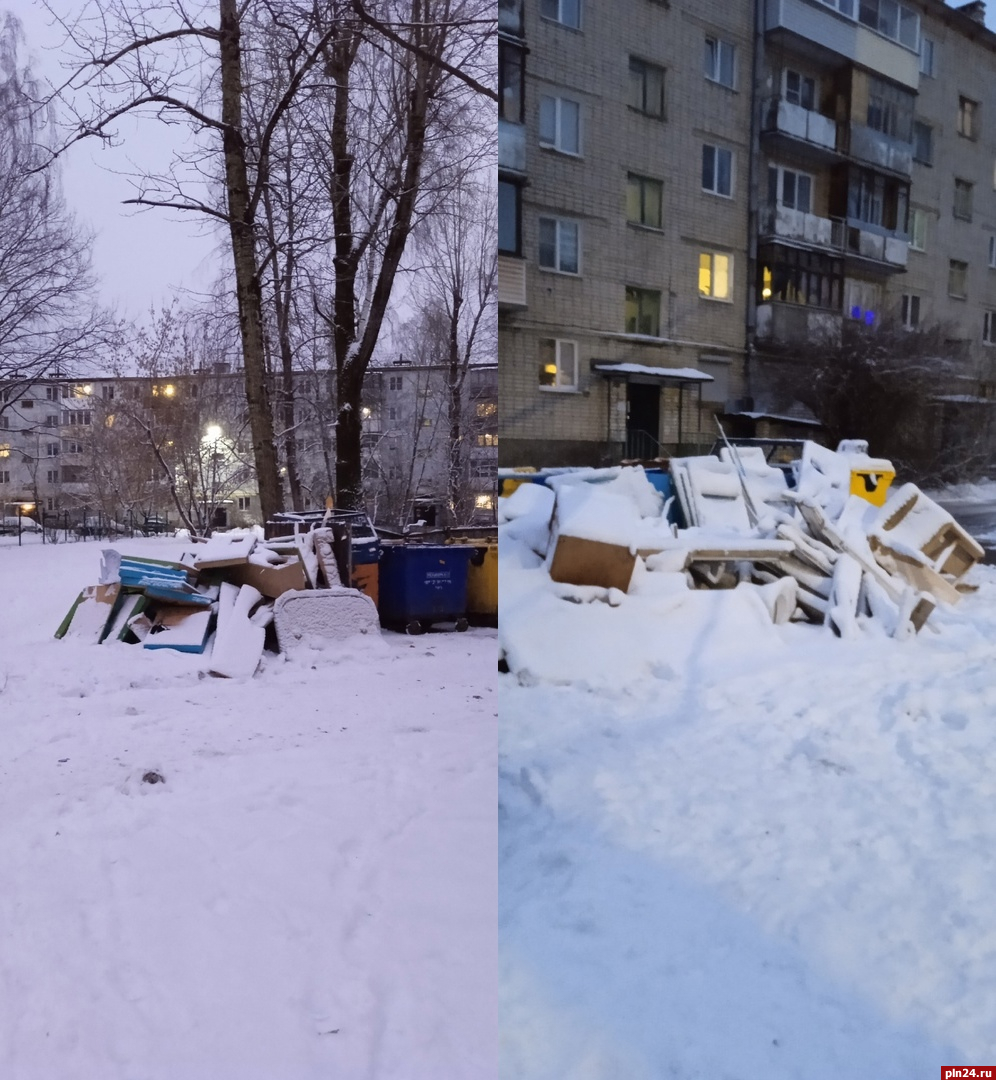 Экопром» оспаривает наказание за невывоз крупногабаритного мусора в Пскове  : Псковская Лента Новостей / ПЛН