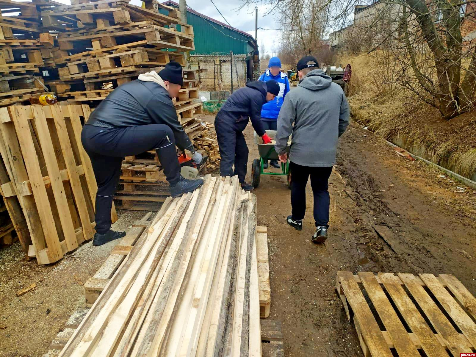 Осужденные оказали содействие в благоустройстве приюта для животных в Великих  Луках : Псковская Лента Новостей / ПЛН