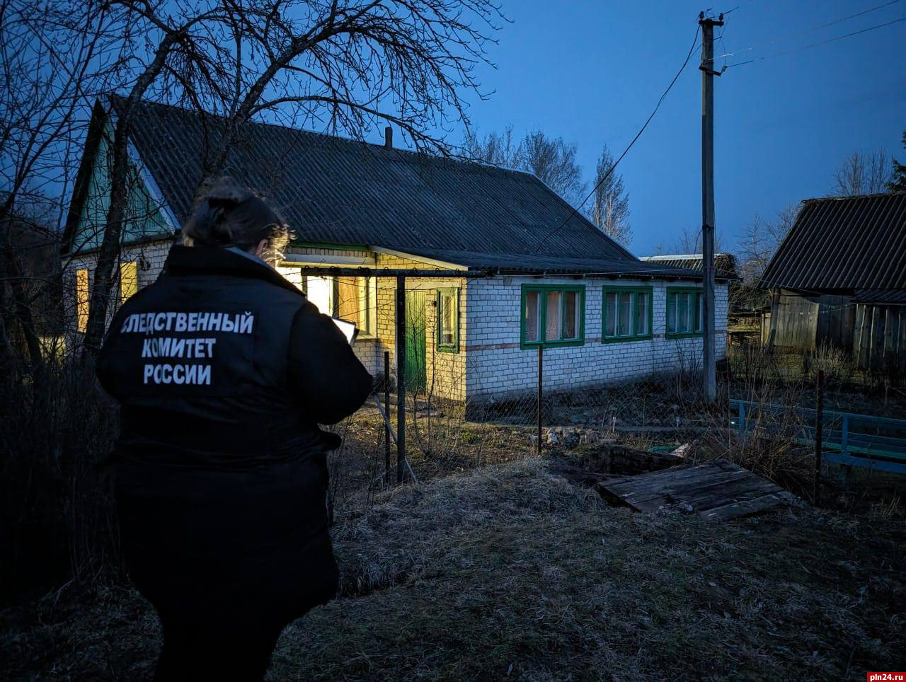 Уголовное дело возбудили после утопления ребенка в Бежаницком районе :  Псковская Лента Новостей / ПЛН