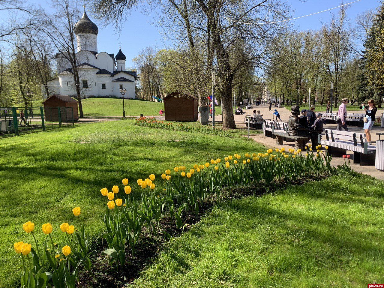 Фотофакт: Тюльпаны расцвели в центре Пскова : Псковская Лента Новостей / ПЛН