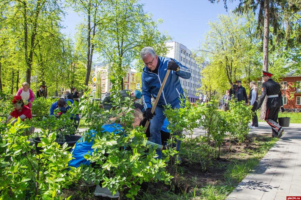 Сад памяти» появился в Великих Луках : Псковская Лента Новостей / ПЛН